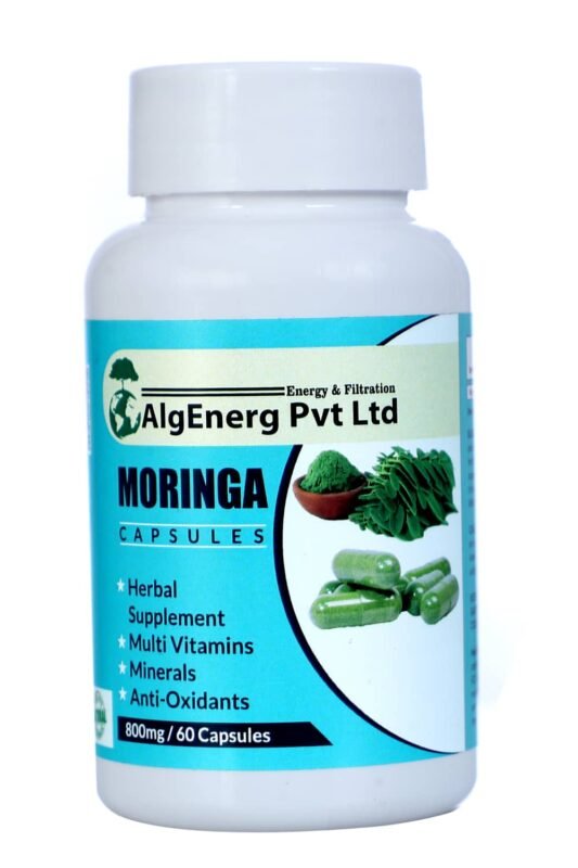 Moringa Capsules Herbal Supplements Multivitamin Minerals Anti-Oxidants 800 mg - 60 Capsules