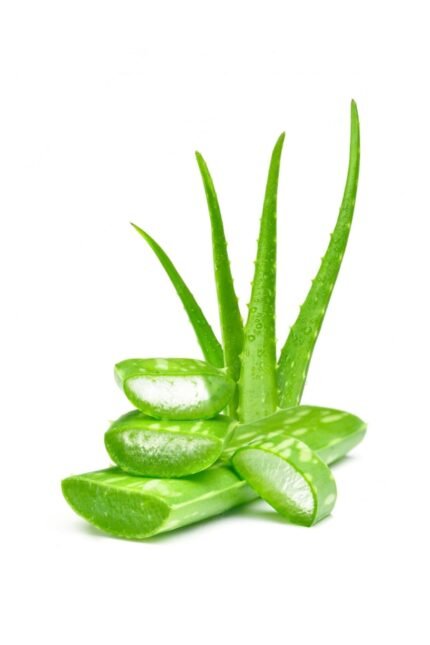 Natural Aloe Vera Leaf for Face and Hair Care (Aloe Barbadensis) Powder - 500 gm