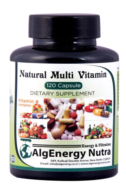 Natural Multivitamin and Minerals help to Boost Immune System Dietary Supplements - 120 Capsules