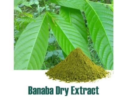 Banana extract powder