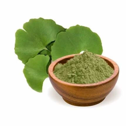 ginkgo extract powder