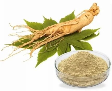 ginseng extract powder