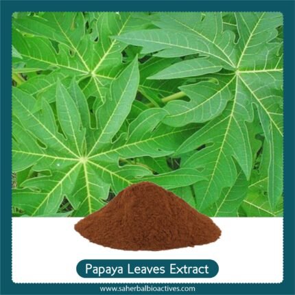 papaya leaf extract