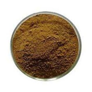 coleus forskohlii root extract