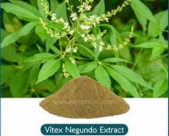 nirgundi extract