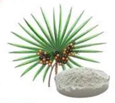 saw palmetto extract