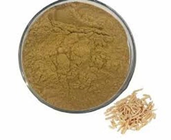 Shatavari Extract