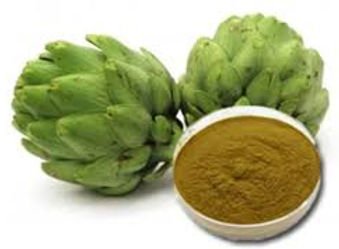 artichoke extract