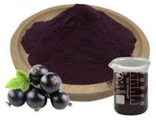 black currant extract