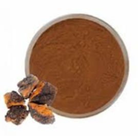 chaga mushroom powder