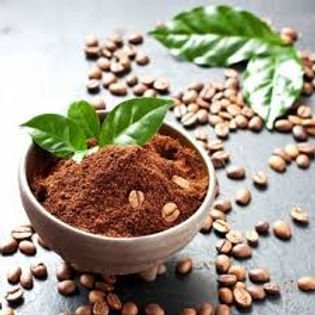 cocoa powder extract