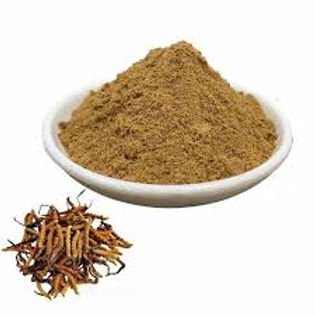 cordyceps extract