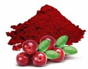 cranberry powder