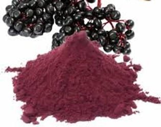 elderberry extract