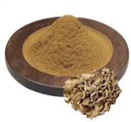 grifola frondosa extract