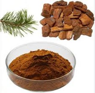 pine bark extract