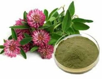 red clover extract powder