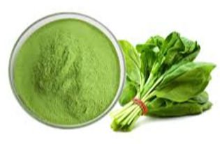 spinach powder