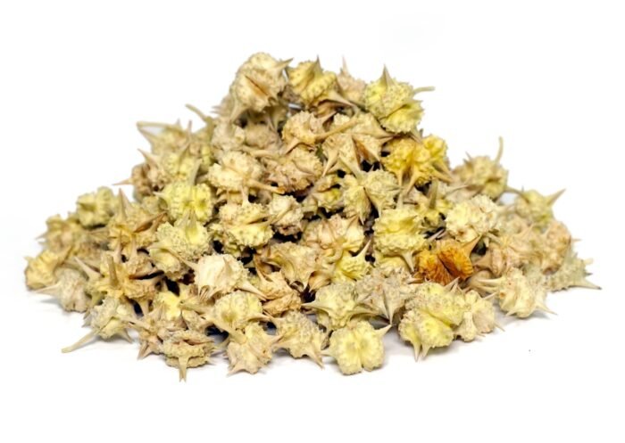 tribulus terrestris powder