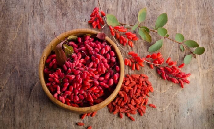 goji berry extract