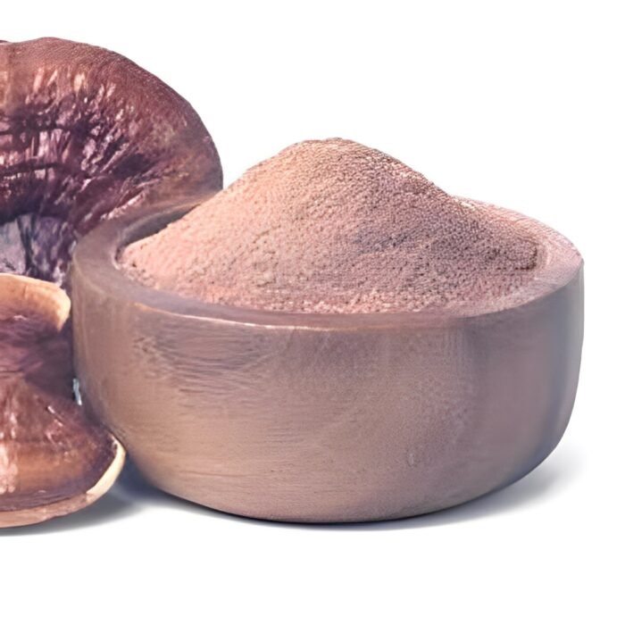 reishi-extract-powder