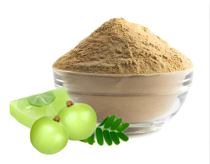 amla-powder