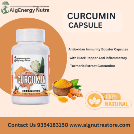 curcumin_algnutra