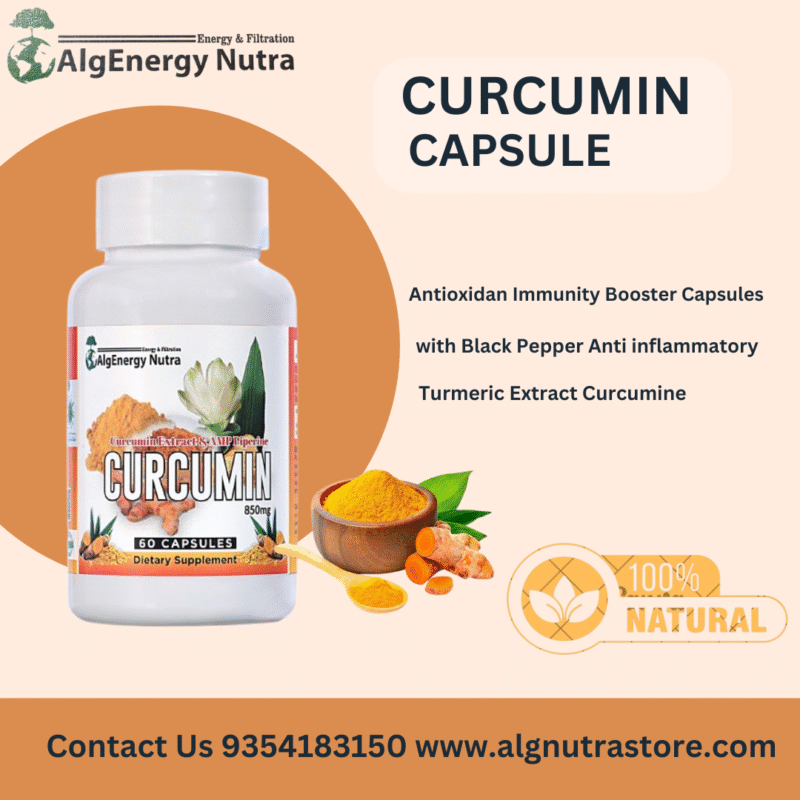 curcumin_algnutra