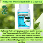 Moringa Capsules