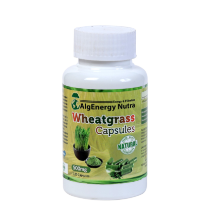 Wheat Grass Capsules-Immunity Boosting and Naturally detoxifying Superfood